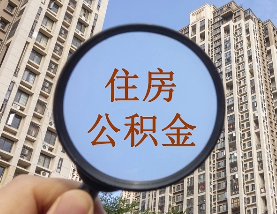 东莞住房公积金个人登录中心（住房公积金个人登录中心入口）